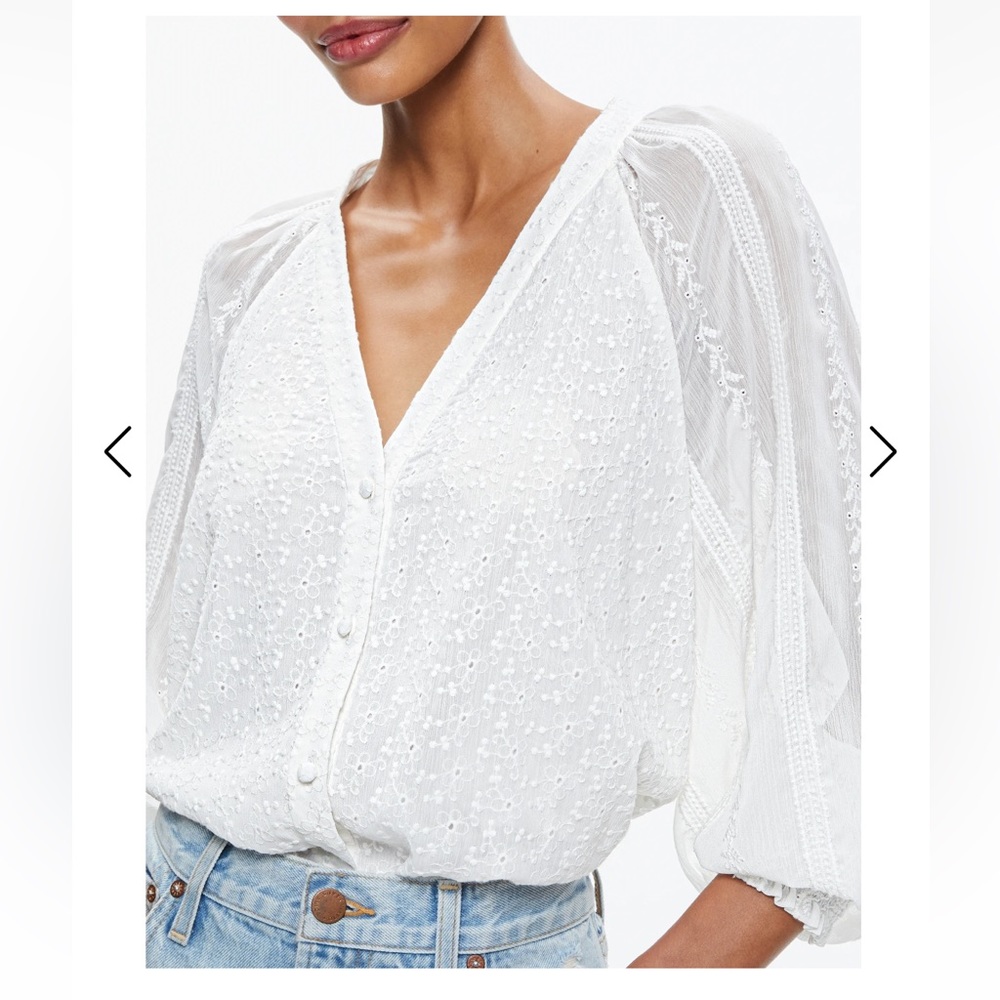 Alice Olivia LANG EMBROIDERED BUTTON DOWN BLOUSE - Picture 5 of 9